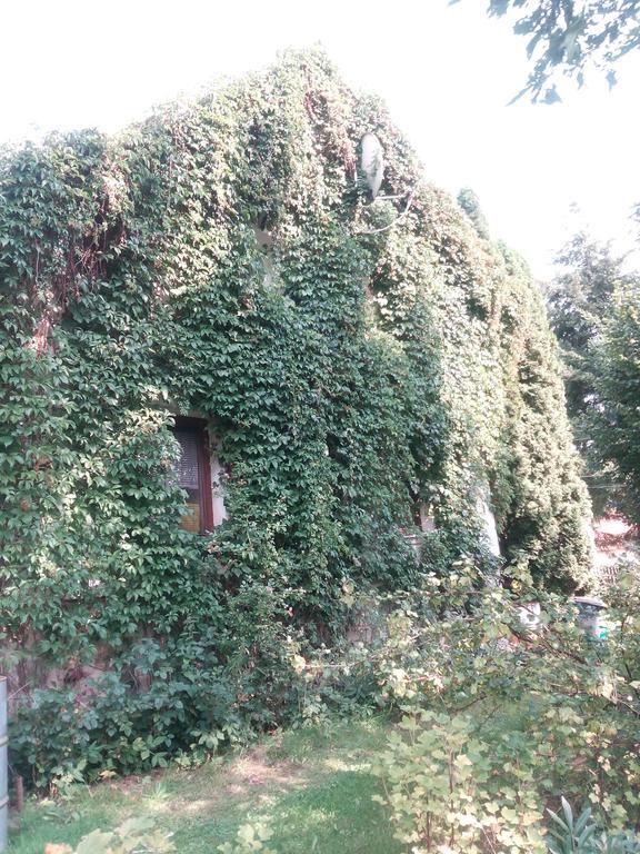 Pension Jana Tatrovice Exterior foto